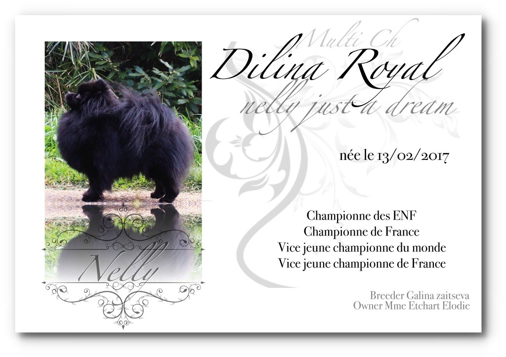 CH. dilina royal Nelly just a dream