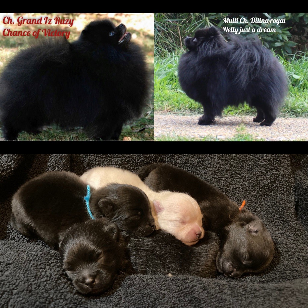 Les bébés sont là ! 