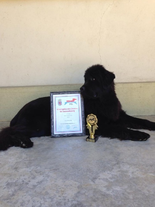 De La Légende Des Diables Noirs - Jeune championne du Luxembourg 